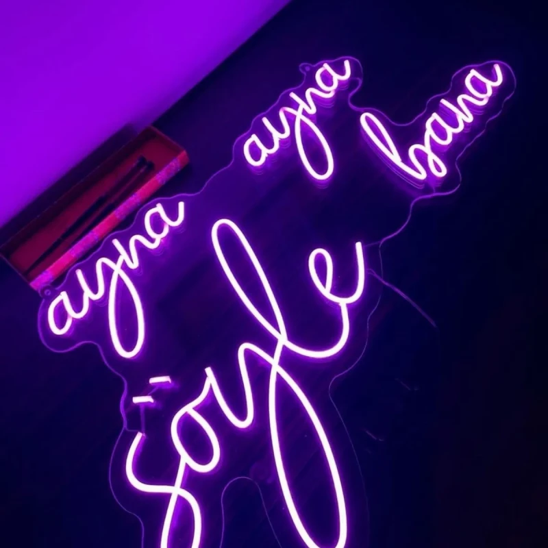 Ayna Ayna Söyle Bana Neon Led Işıklı Tablo