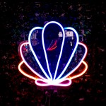 Gökkuşağı Deniz Kabuğu Kabuğu Şeklinde Neon Led Işıklı Tablo