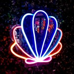 Gökkuşağı Deniz Kabuğu Kabuğu Şeklinde Neon Led Işıklı Tablo