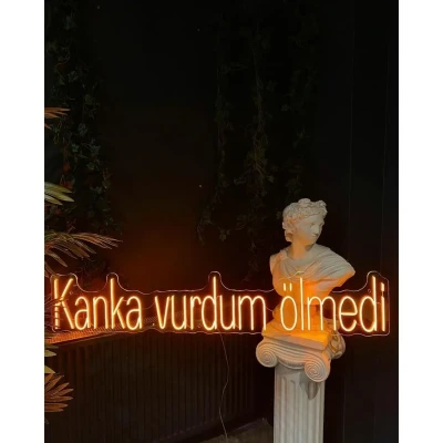 Kanka Vurdum Ölmedi Neon Led Işıklı Tablo