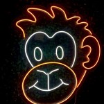 Maymun Neon Led Işıklı Tablo
