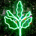Palamut Dalı Yaprağı Taraftar Ürünü Neon Led Işıklı Tablo