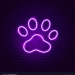 Pati Neon Led Işıklı Tablo